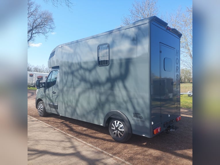 MSG Pferdetransporter Renault Master Stablehopper NEU