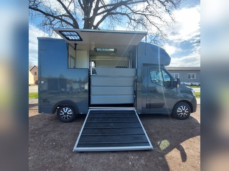 MSG Pferdetransporter Renault Master Stablehopper NEU
