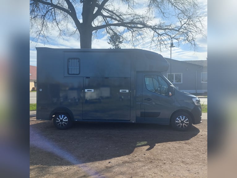 MSG Pferdetransporter Renault Master Stablehopper NEU