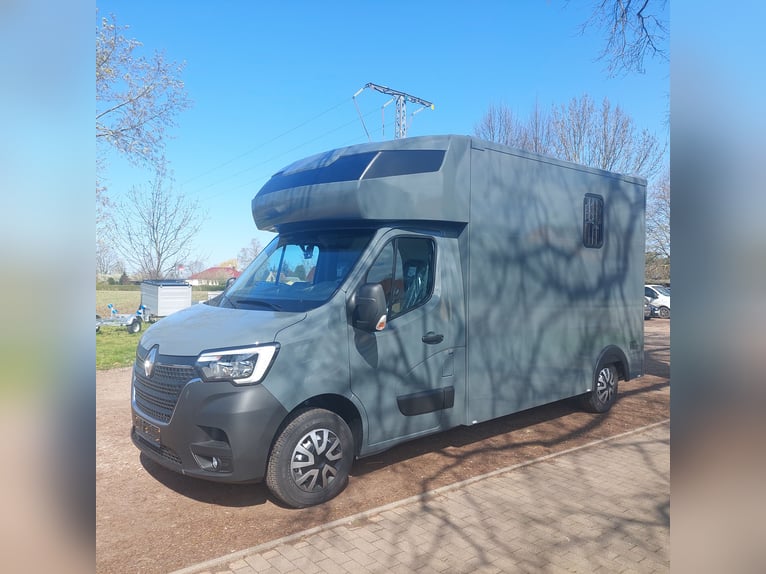 MSG Pferdetransporter Renault Master Stablehopper NEU