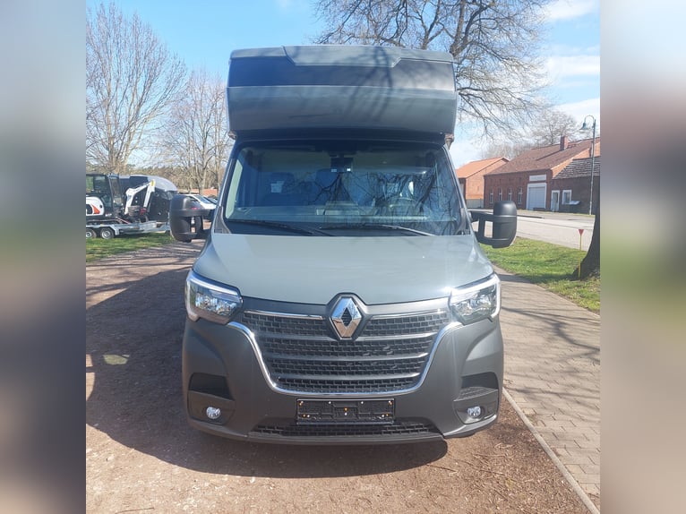 MSG Pferdetransporter Renault Master Stablehopper NEU