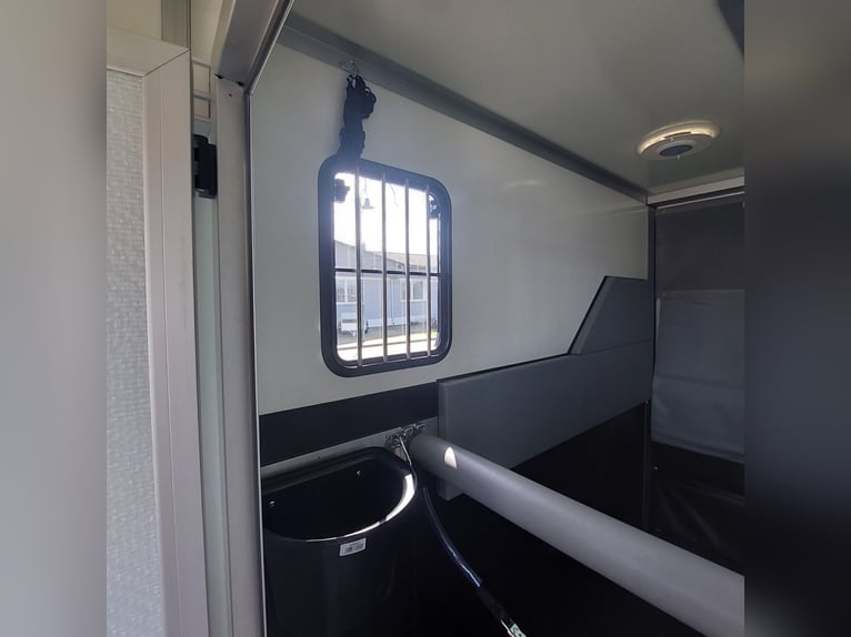 MSG Pferdetransporter Renault Master Stablehopper NEU