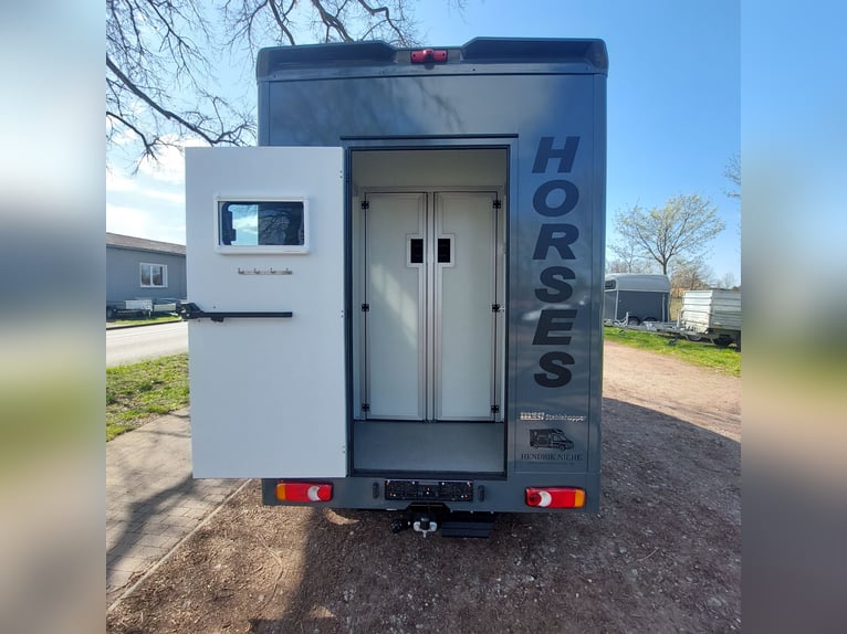 MSG Pferdetransporter Renault Master Stablehopper NEU