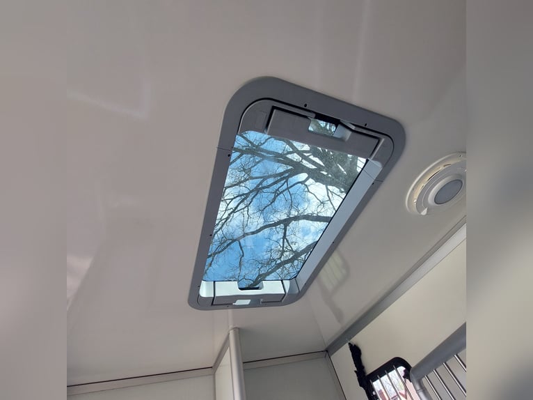 MSG Pferdetransporter Renault Master Stablehopper NEU