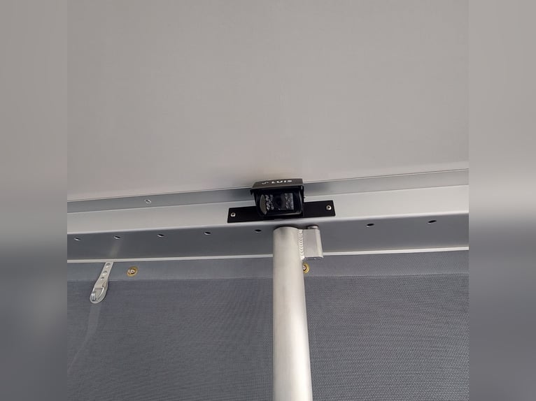 MSG Pferdetransporter Renault Master Stablehopper NEU
