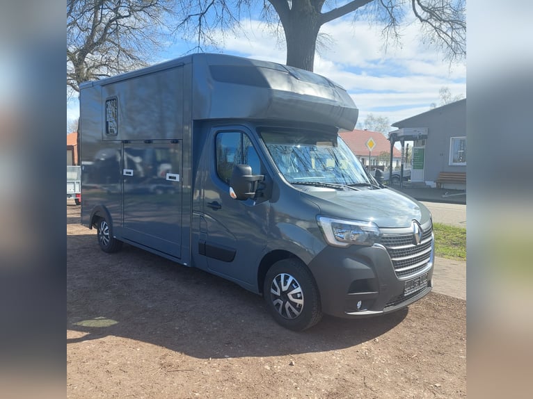 MSG Pferdetransporter Renault Master Stablehopper NEU