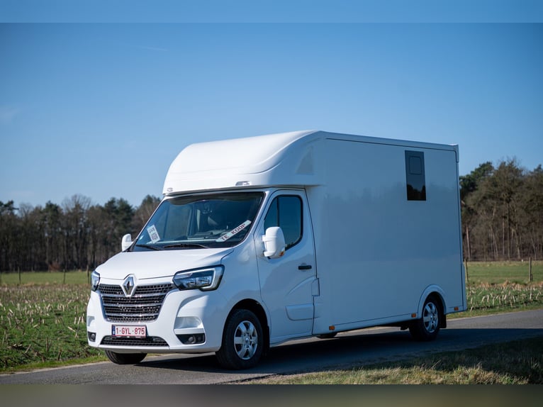 NOWY RENAULT - MASTER (0000)