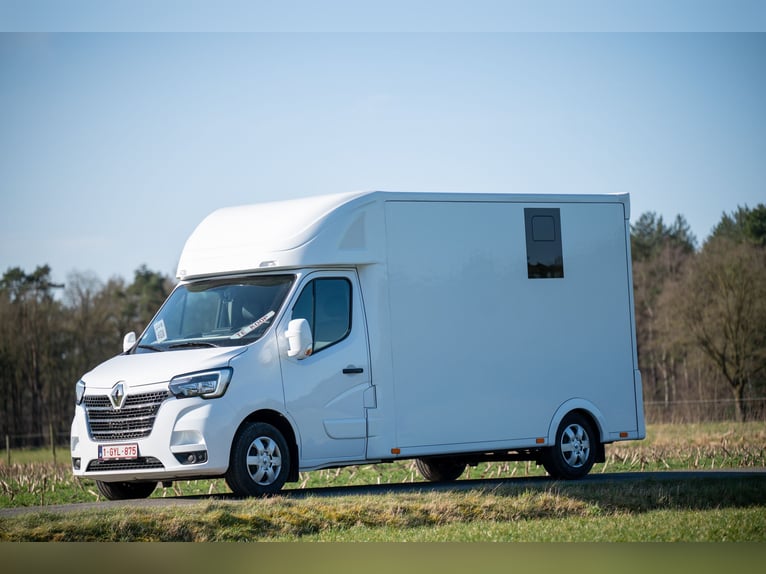 NOWY RENAULT - MASTER (0000)