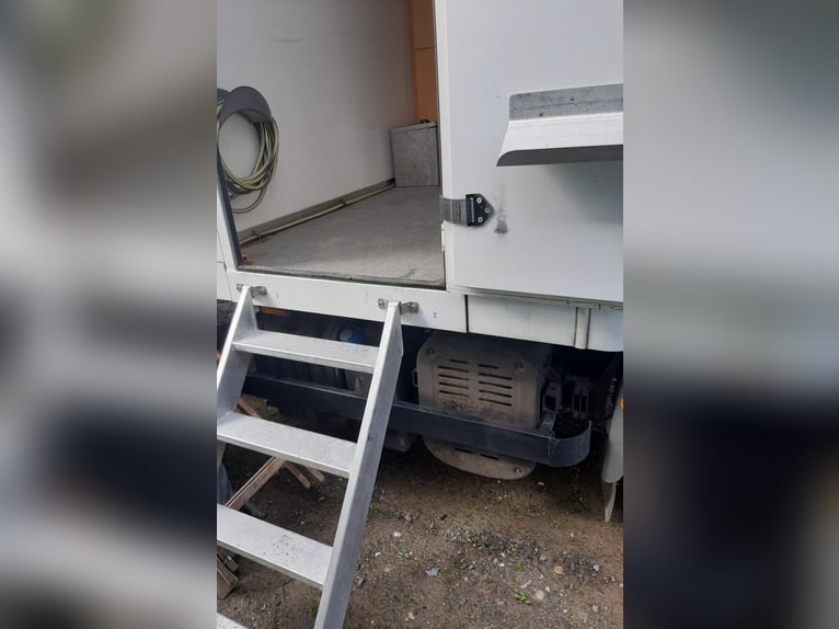Perfekcyjnie utrzymany transportowiec IVECO do przewozu koni Dickenherr o ładowności 7,49 tony