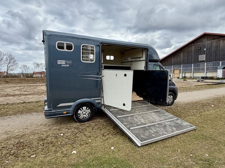 Peugeot Boxer Equitrek Sonic 2-konny transportowiec dla koni – używany pojazd na zlecenie klienta