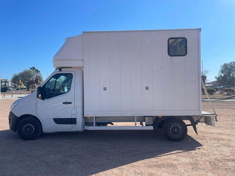 Przyczepa dla 2 koni – Renault Master Trailona