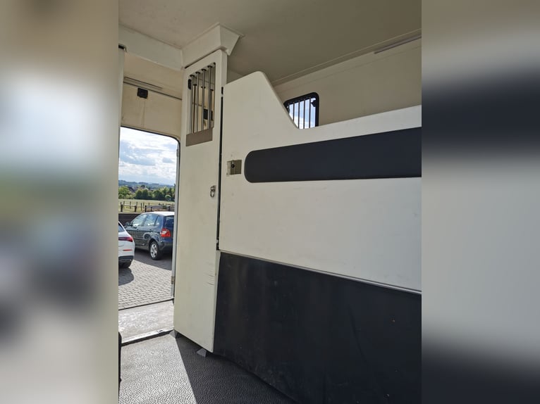Renault Master, 3,5 t, transporter for 2 horses