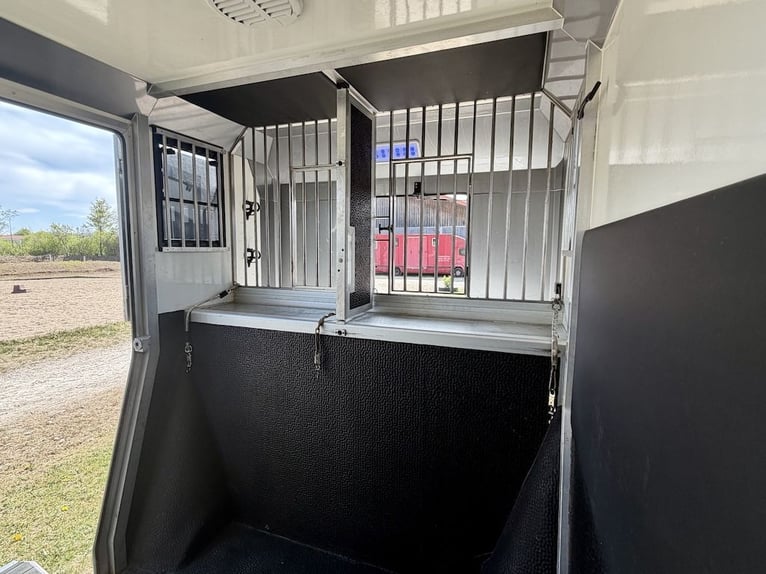 Renault Master EQUITA 2-konny transportowiec, 5-miejscowy, automatyczny – pojazd używany