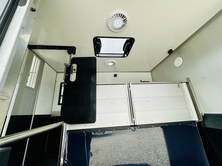 Renault Roelofsen Yorse 2-konny ładunek dla dwóch koni, transportowiec o masie całkowitej 3,5 tony, 