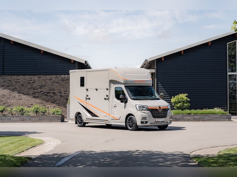 Renault Roelofsen Yorse Special Edition 2-konny transportowiec dla koni używany z manualną skrzynią 
