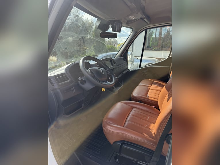 STX Horsetruck Renault Master Automatic 180HP