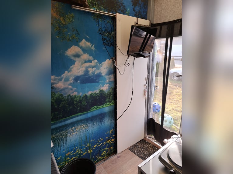 Transporter dla koni, ciężarówka 7,5 t, tablica H, przewóz 3 koni