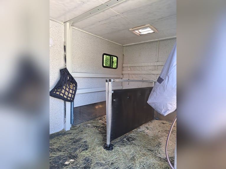 Transporter dla koni, ciężarówka 7,5 t, tablica H, przewóz 3 koni