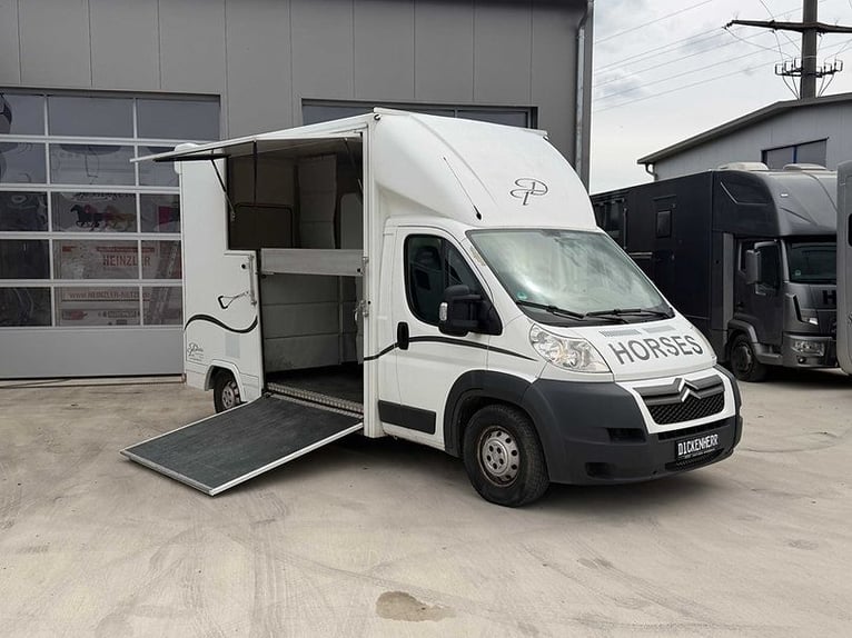 Transporter do koni Citroën, tylko 29 200 km, transporter dla zwierząt, przewóz zwierząt, samochód d