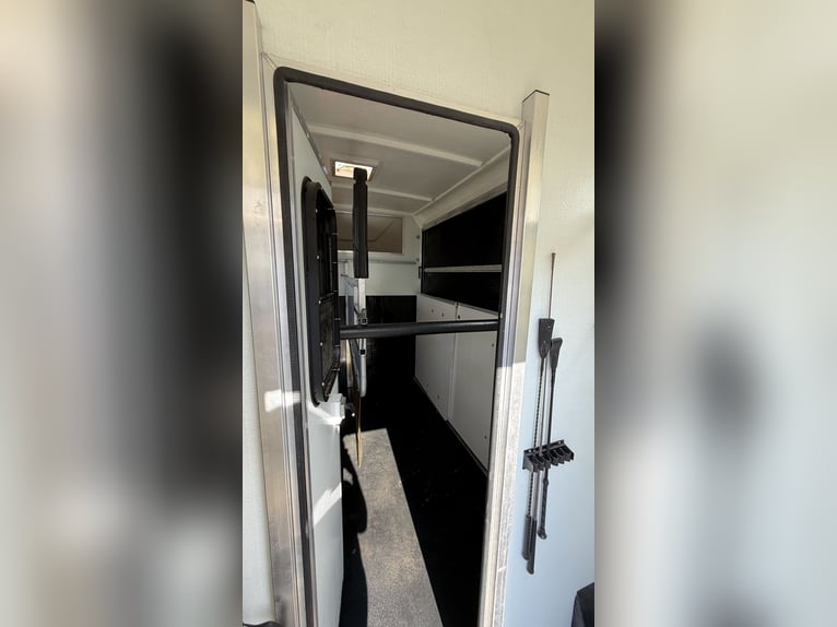 Transporter for horses, 3.5 tons