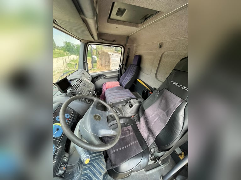 Transporter for horses