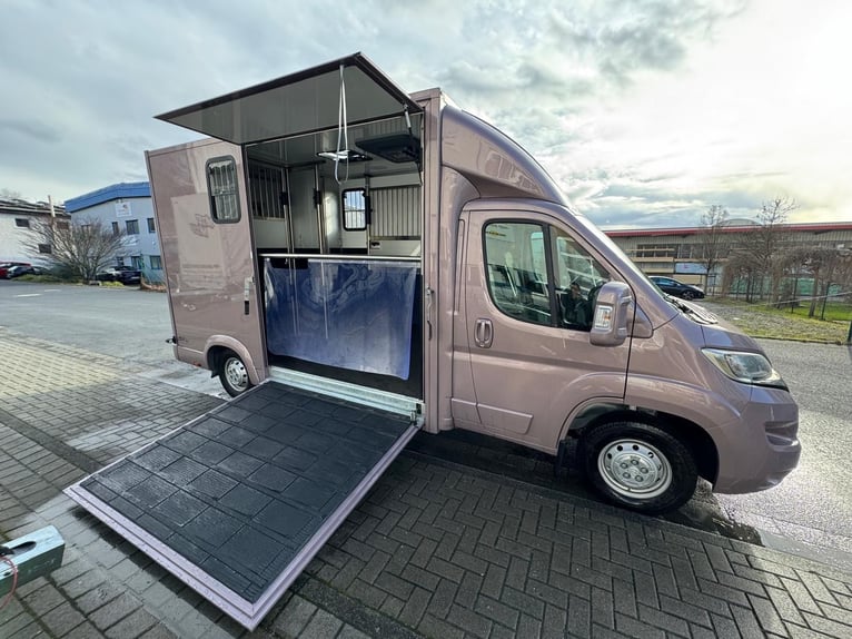 TVW Klacz transportowy 3,5 t – Citroën Jumper – Tylko 30 000 km – Nowy przegląd techniczny – Klimaty