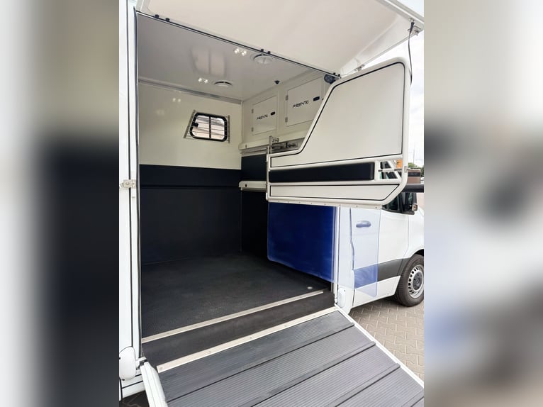 Koniowóz Mercedes-Benz Sprinter PRENTKI