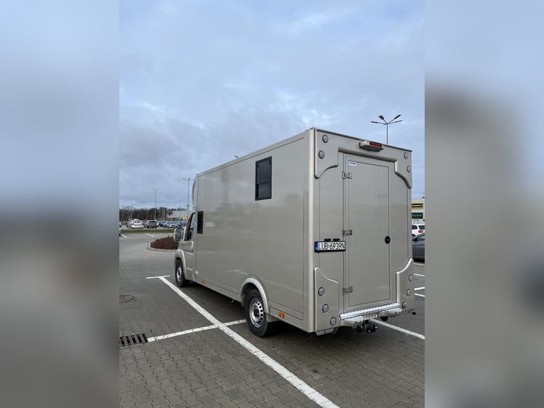Koniowóz Peugeot Boxer 2024, tylko 29.000 km, nowa zabudowa - na gwarancji