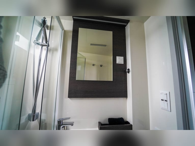 AKX D-range 4 konie z 2021 roku