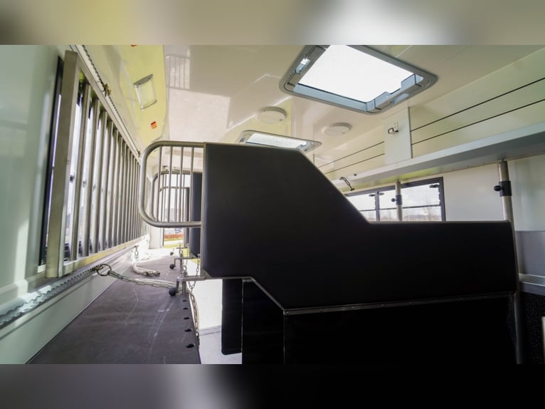 AKX D-range 4 konie z 2021 roku