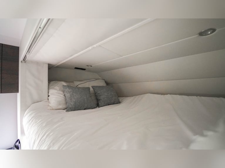 AKX D-range 4 konie z 2021 roku