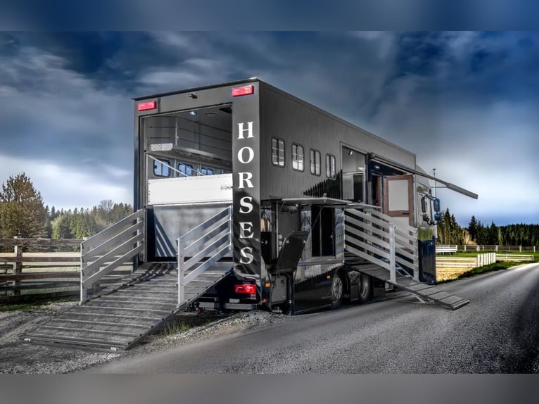 DAF XF 480 2021 + Nowa zabudowa 2026 PREMIUM zarejestrowany na 4 osoby