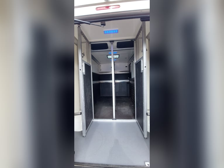 Renault Master 170 KM Euro 6 STX – Przyczepa do przewozu koni HARAS