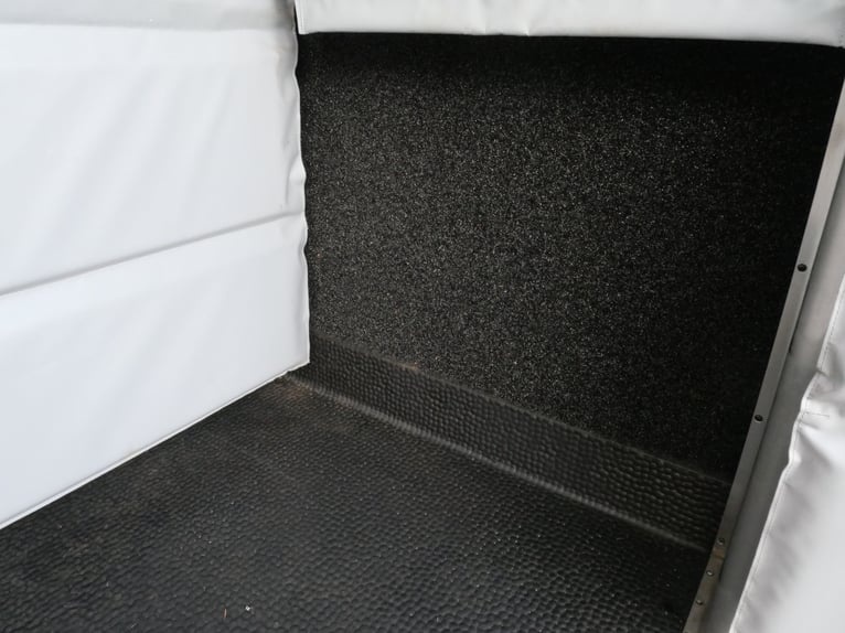 RENAULT Master Automatyczny MSG – Przyczepa do przewozu koni, do samodzielnej jazdy