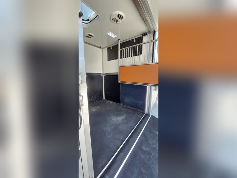🚚 Renault Master JL Mini | 180 KM Automatyczna | Ekskluzywny transportowiec dla koni na 1–2 konie |