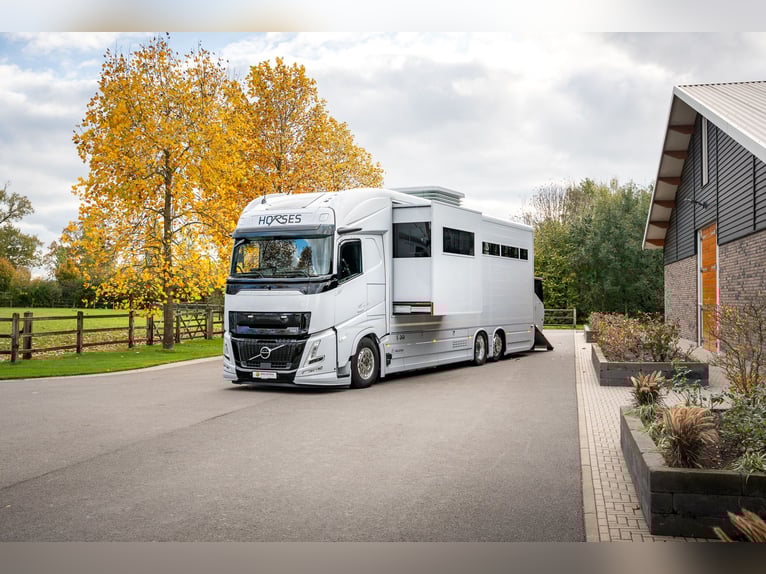 Roelofsen RR6 XL Profiliner - Przyczepa transportowa dla koni, Horsetruck z systemem Pop-Out, na 5 k