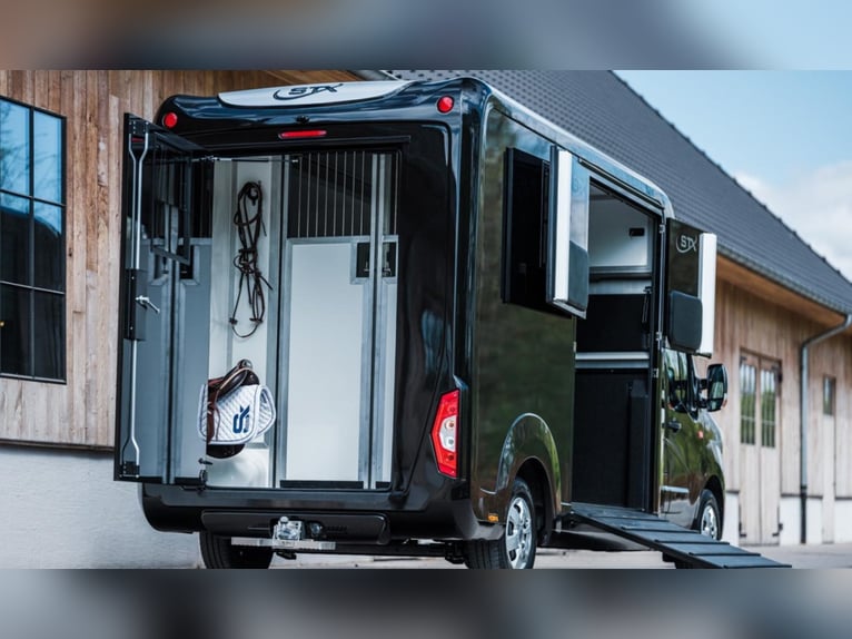 STX 2 Horses ogier – dostępnych wiele wersji!