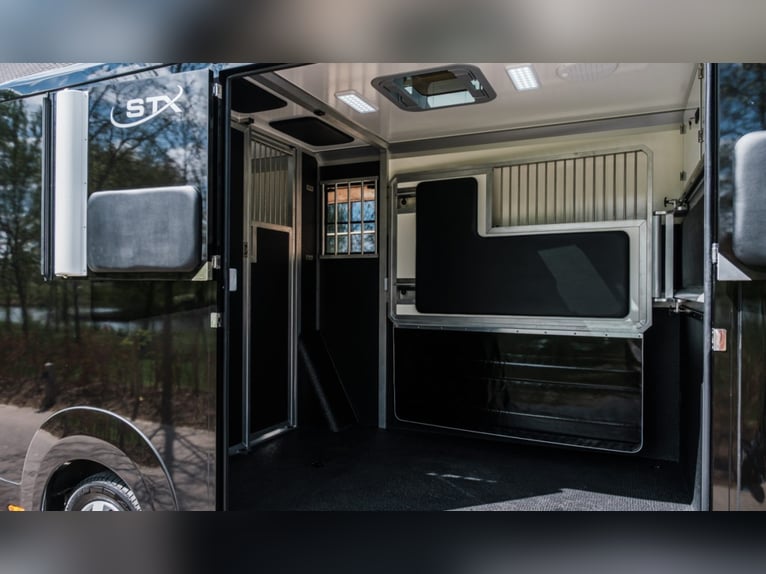 STX 2 Horses ogier – dostępnych wiele wersji!