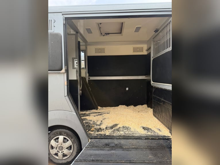 STX Opel Movano luksusowy | 5-miejscowy i top-sleeper | skóra | 3,5 t (kategoria B)