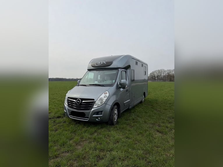 STX Opel Movano luksusowy | 5-miejscowy i top-sleeper | skóra | 3,5 t (kategoria B)