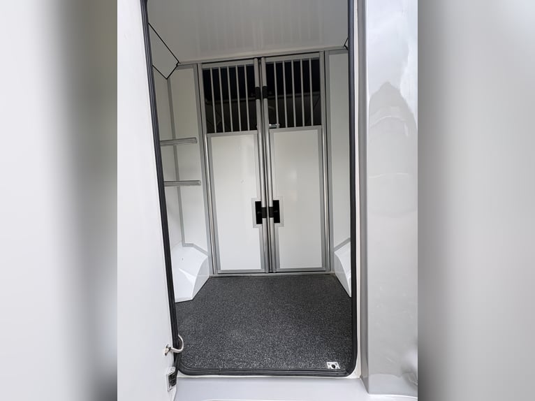 Świetny dwupokładowy transporter dla koni