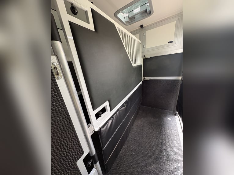 Świetny dwupokładowy transporter dla koni