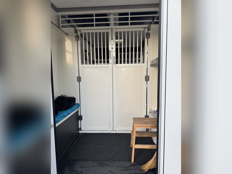Transporter dla koni Paragan na bazie Renault Master 3 XL