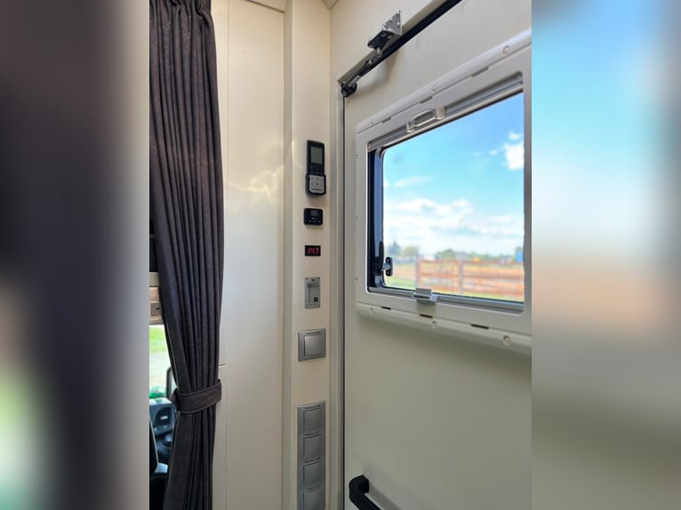 Transporter konny Iveco Daily | Ciężarówka do przewozu koni | bez opłat drogowych | nowy przegląd TÜ