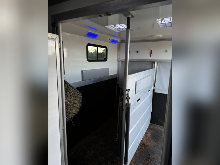 Transporter konny Iveco Daily | Ciężarówka do przewozu koni | bez opłat drogowych | nowy przegląd TÜ