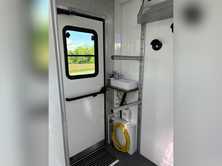 Transporter konny Iveco Daily | Ciężarówka do przewozu koni | bez opłat drogowych | nowy przegląd TÜ