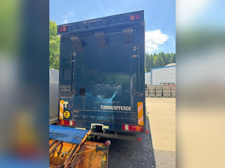 Mercedes 1524,   4-6 Pferdetransporter