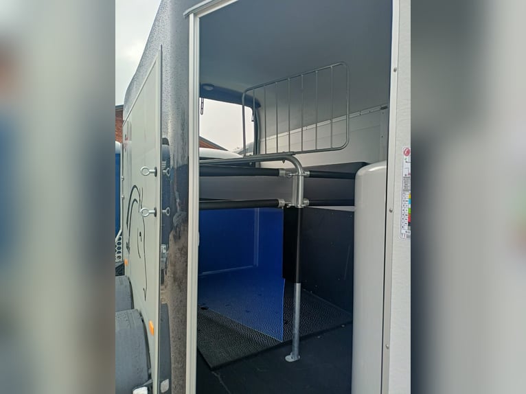 Cheval Liberté Gold Origins ALULINE + tack room