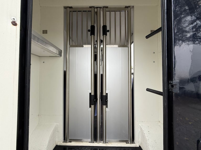 Przewoźnik koni Renault Primero