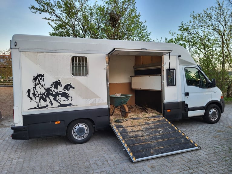 Renault dci120 Pferdetransporter